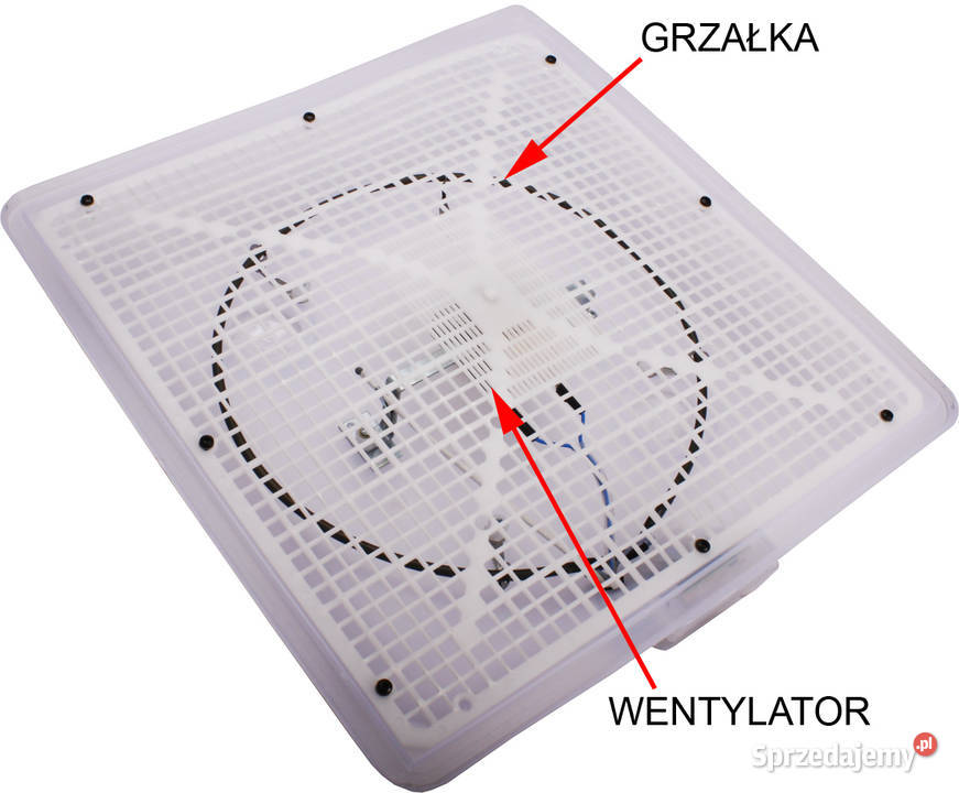 INKUBATOR WYLĘGARKA KLUJNIK IO1PTE 5680 JAJ Rzeszów