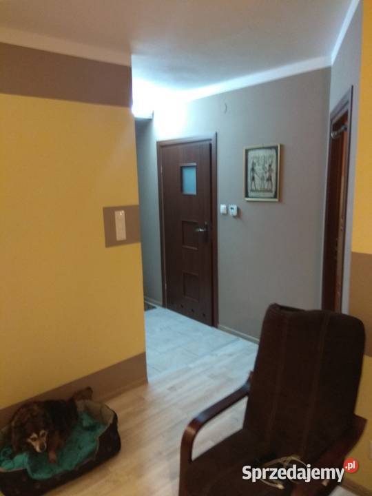 Mieszkanie 48m2 wynajem Rzeszów 3 piętra i więcej