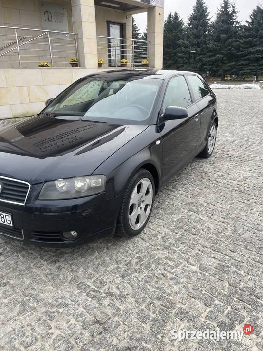 Audi a3 8p 19tdi 20tdi Rzeszów