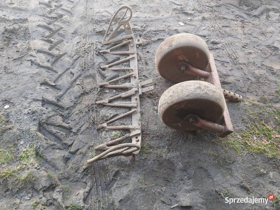 Kopaczka do cebuli ziemniaków buraków i kujawsko-pomorskie Dobierzyn