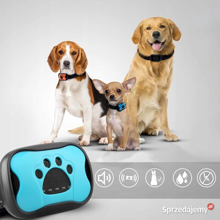 Obroża przeciw szczekaniu