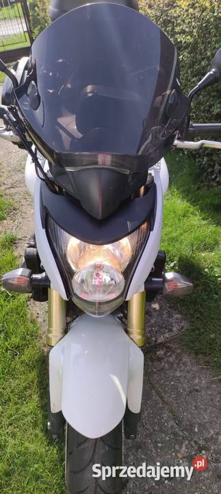 Honda Hornet CB600FA 2008r Skorogoszcz