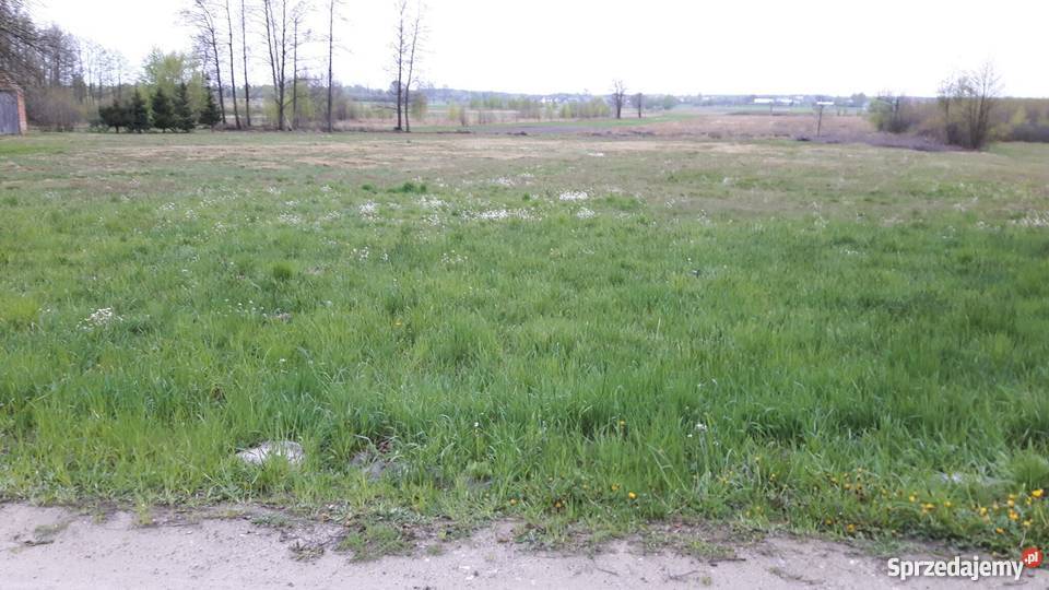 Działka rolna 234 ha Wierzchowiny pow Radomski Wierzchowiny