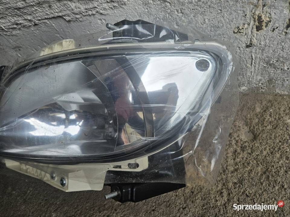 Halogen Lewy DAF XF Międzychód
