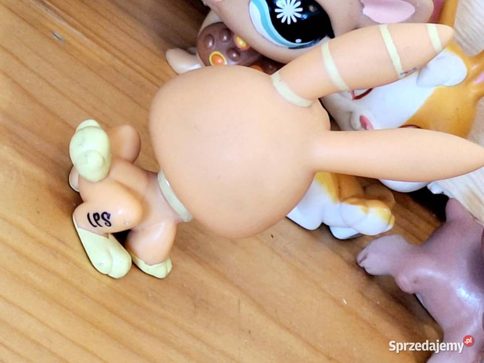 Zająć królik Littlest Pet Shop Braniewo