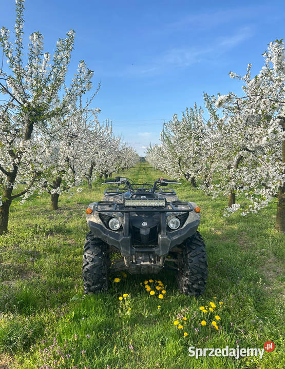 Yamaha Grizzly 450 4x4