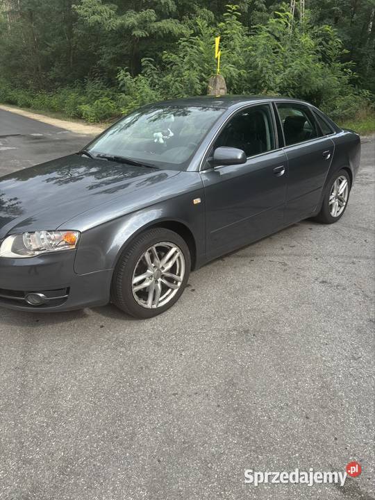 Audi a4 b7 Audi Stromiec
