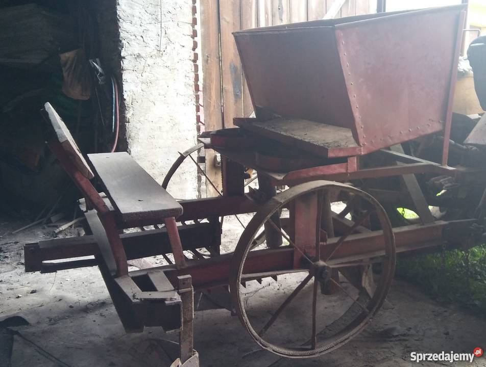 Sadzarka do ziemniaków również podkiełkowanych Hutki