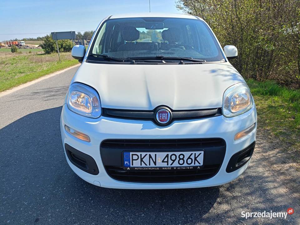 Fiat Panda Panda wielkopolskie