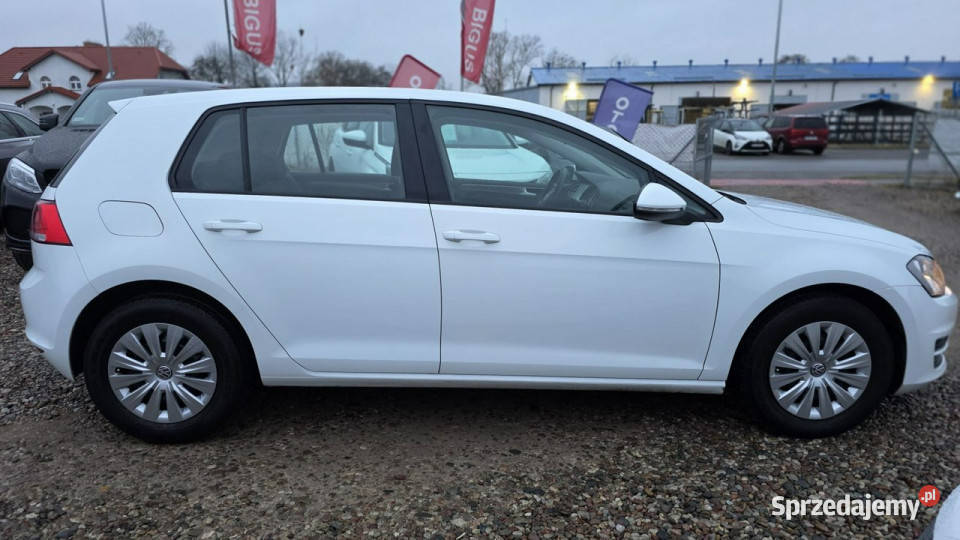 Volkswagen Golf Mały Przebieg climatronic VII Volkswagen Lębork