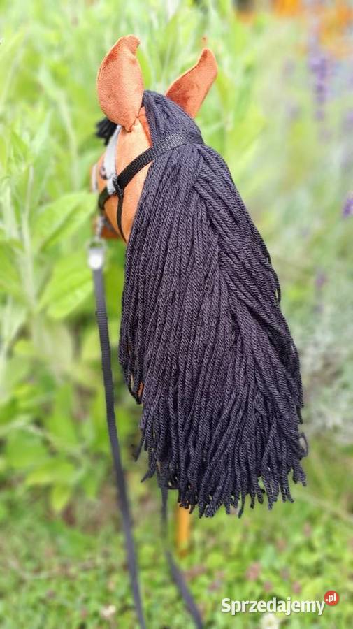 Konik hobby horse Kraków