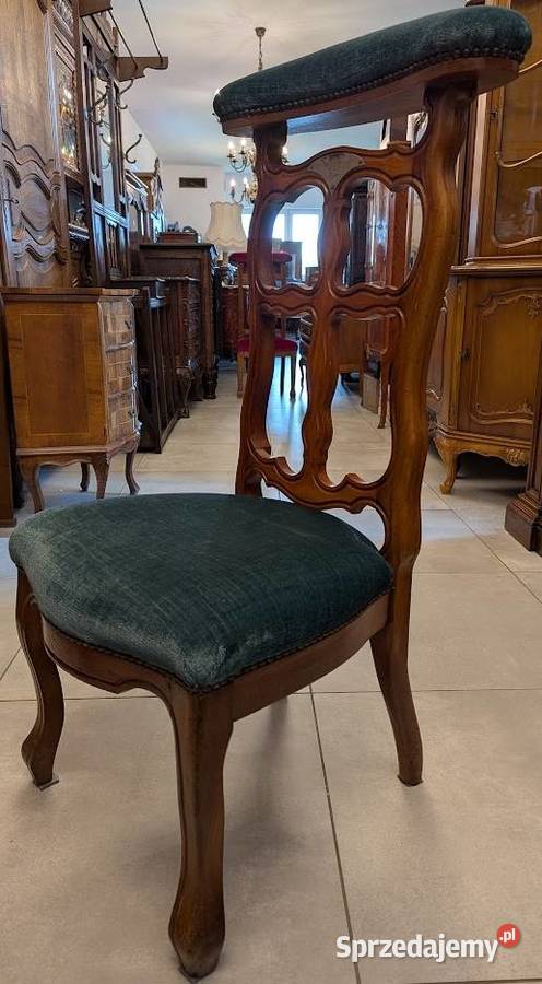 Klęcznik orzechowy Belgia sklep Dąbrowa Górnicza