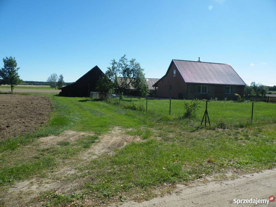 Domek pod lasem w Borach Tucholskich Liczba pokoi 4 Brzozie