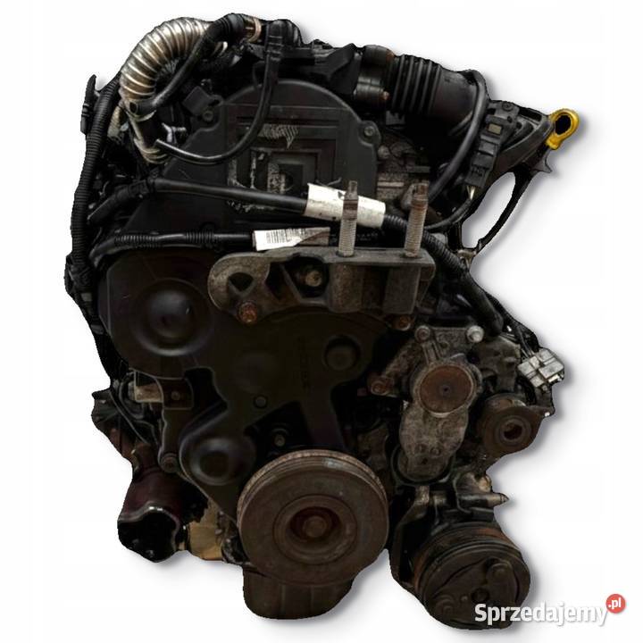 SILNIK HHDA Ford Focus II MK2 C 16 TDCI 90 osobowe Chełm