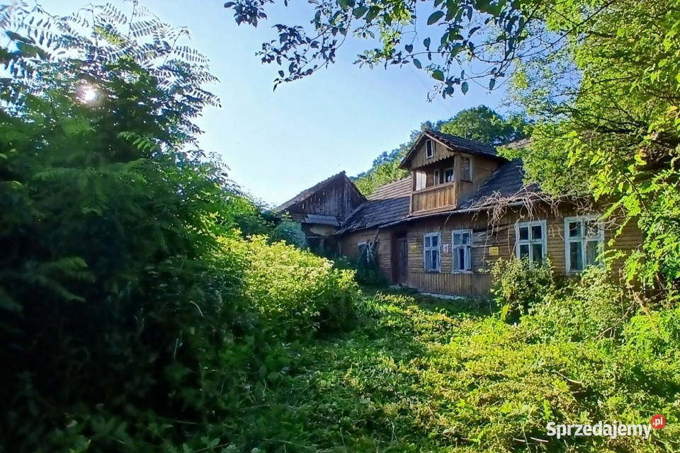 Siedlisko Pisarzowa prawie 5 ha