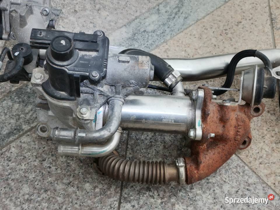 EGR Renault kango dostawcze Białystok