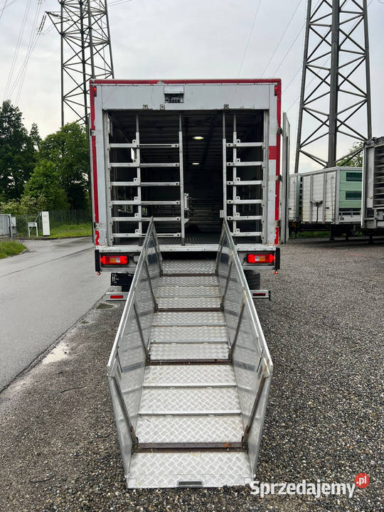 Volvo ciezarowkado przewozu zwierzat 12000kg mazowieckie Warszawa sprzedam
