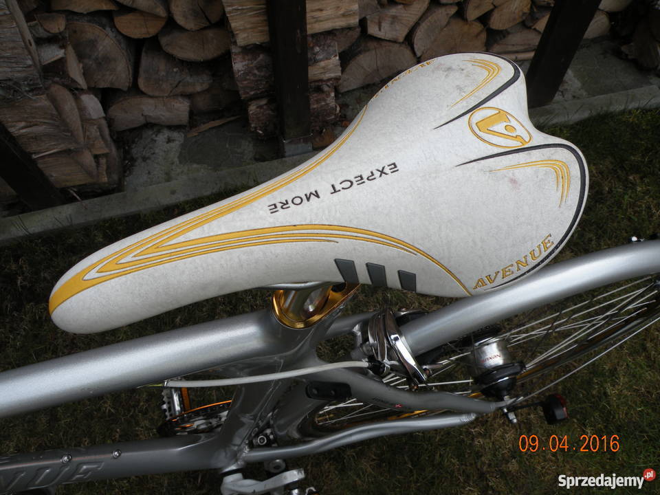 Rower Avenue Madison Gdańsk