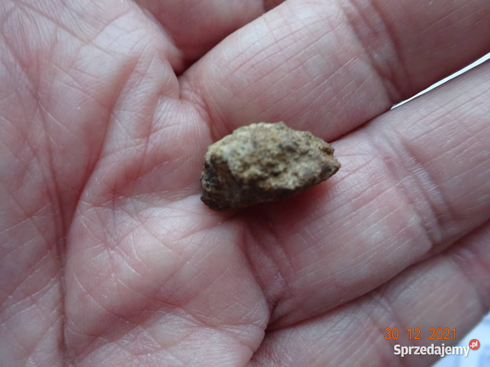 45 meteoryt Jiddat al Harasis 091 chondryt L6 Pozostałe Gorzów Wielkopolski