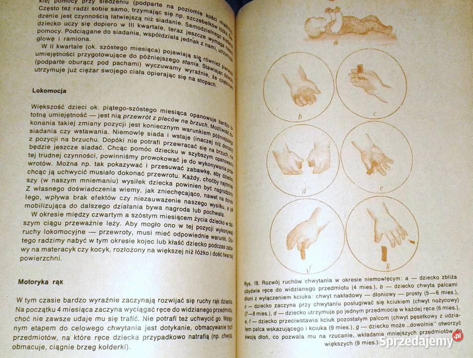 O noworodka do przedszkolaka Maria Kamińska lubelskie