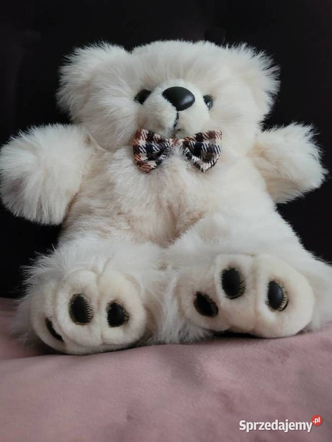 Sprzedam nowego misia Wrocław