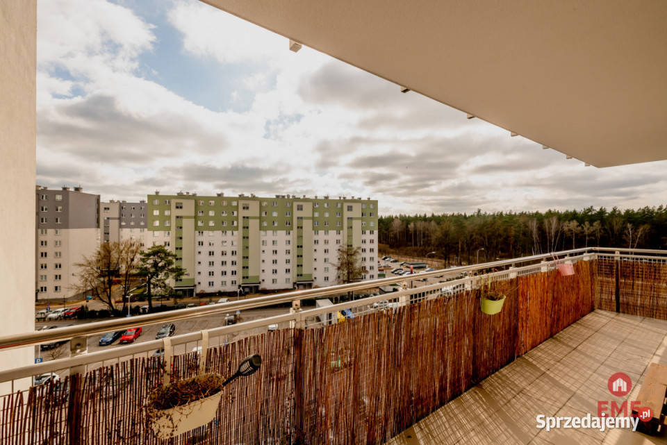 Mieszkanie do wynajęcia 5861m2 4 pokoje cegła Wynajem