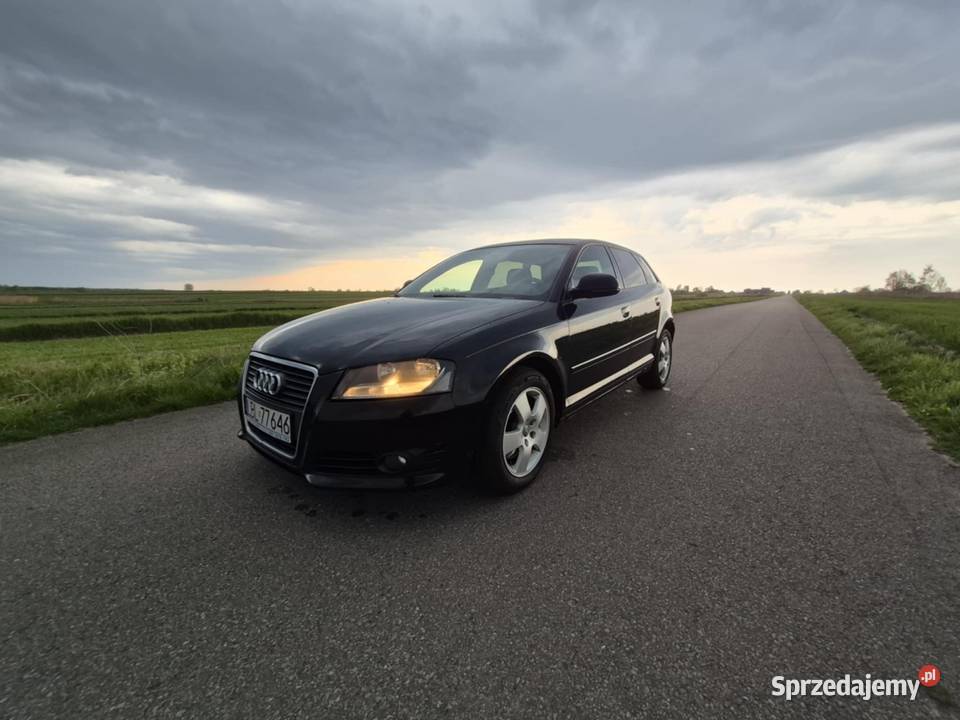 Audi A3 8P Biłgoraj