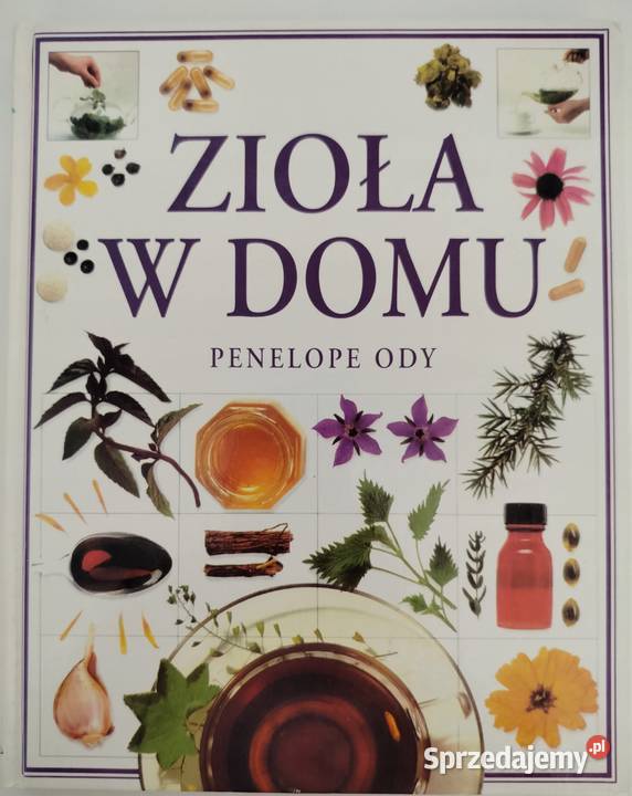 Zioła w domu Penelope Ody Świdnica