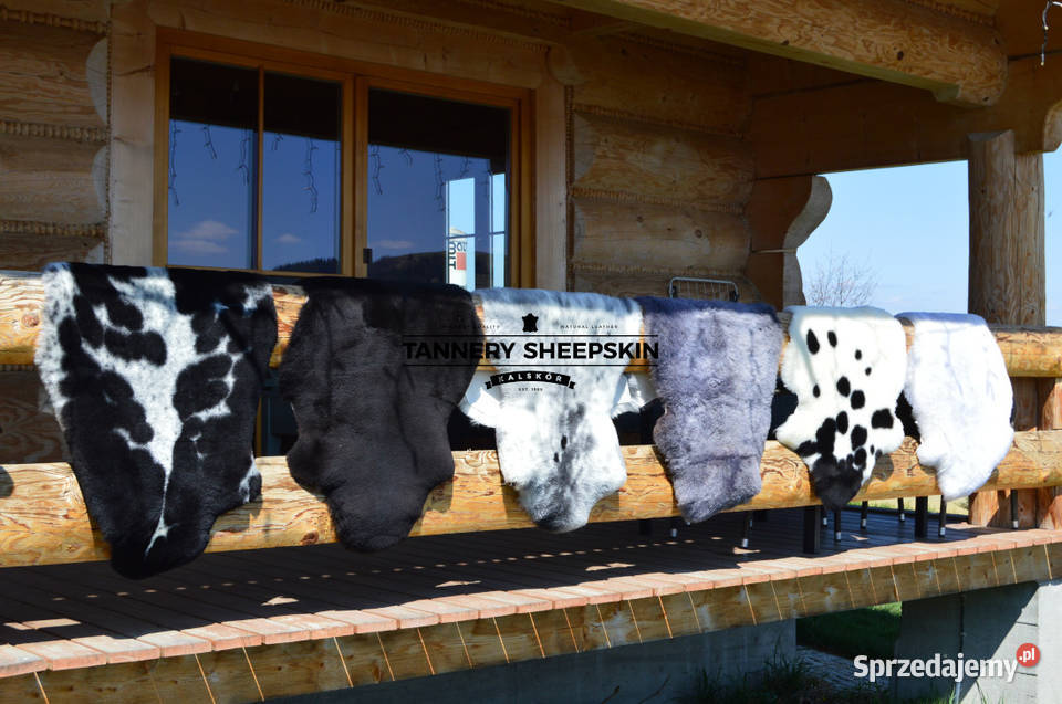 Skóry Owcze Krótki Włos Różne Kolory Skóra Owcza Szaflary