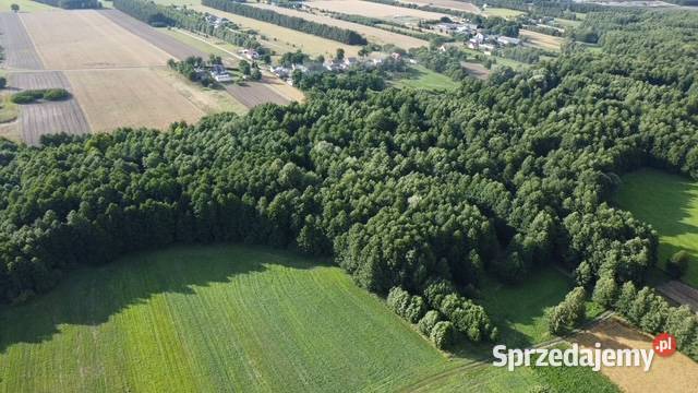 SPRZEDAŻY GRUNTU JÓZEFOWO GMINA SŁUPCA POWIAT 870m2 wielkopolskie