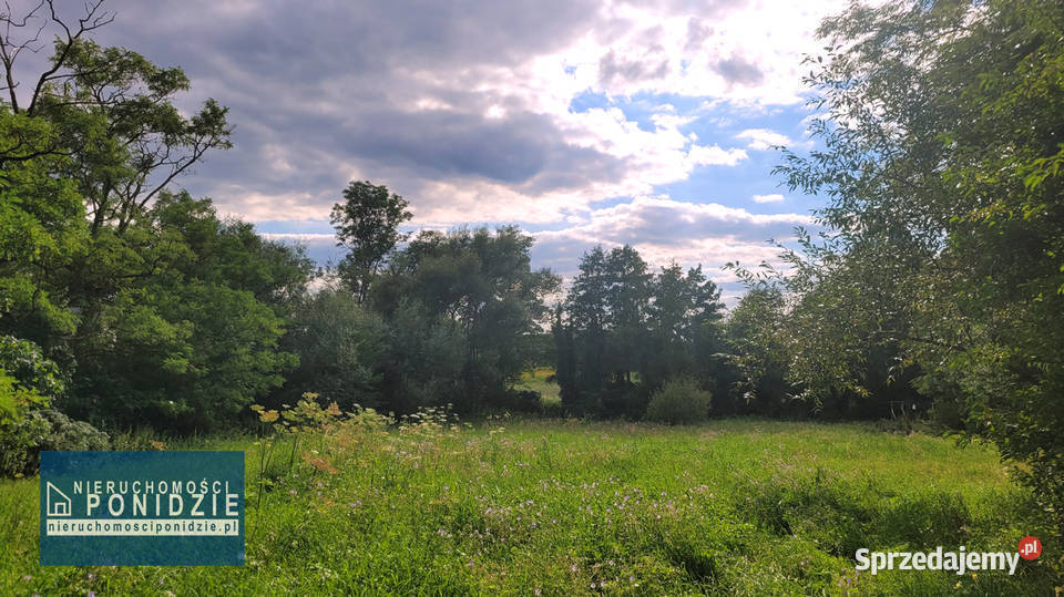 Działka budowlana strumykiem Zborów SolecZdrój Solec-Zdrój