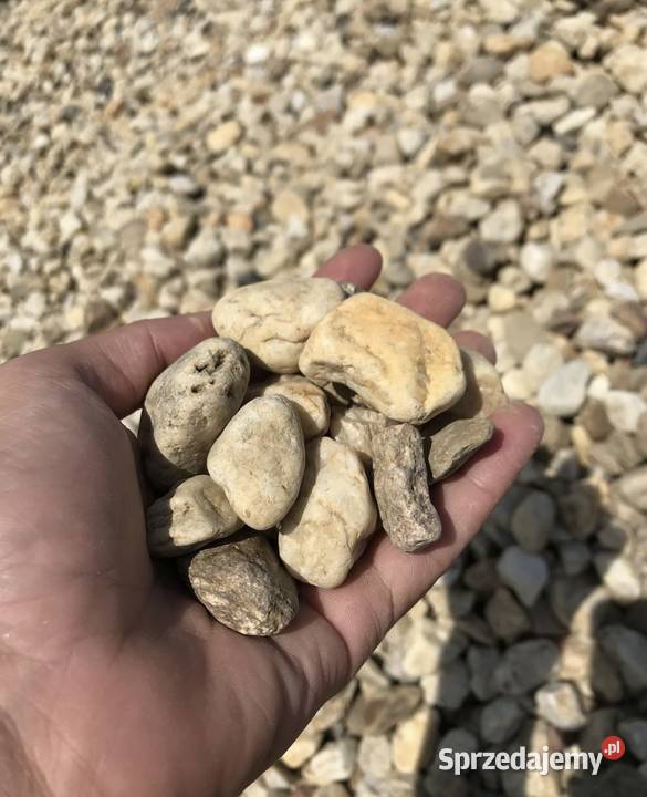 ŻWIR MIODOWY OTOCZAK BURSZTYNOWY Żółty Kamień Warszawa