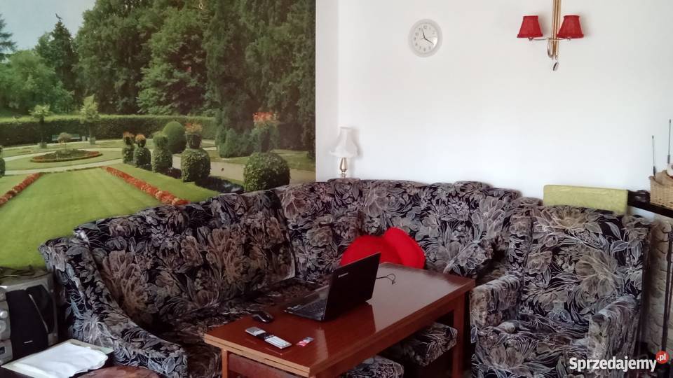 Działka rekreacyjna ROD Sierosław IV wielkopolskie Sierosław