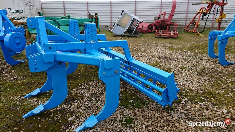 Głębosz 4 Kowalewo Pomorskie