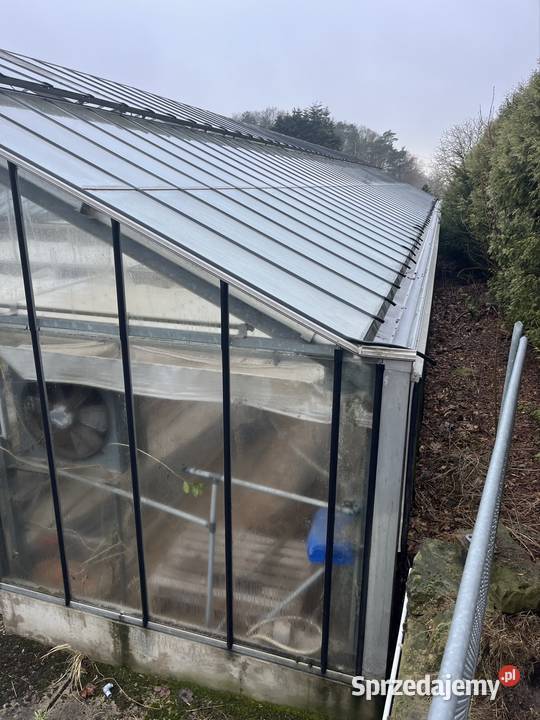 Szklarnia przemysłowa do rozbiórki 30m 10m Turek sprzedam