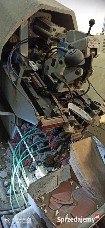 Molina Bianchi ćwiekarka do obuwia śląskie Konary