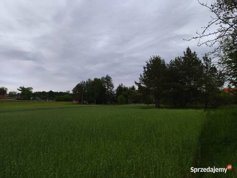 Działka budowlana dostępem do drogi budowlana Świerczyna
