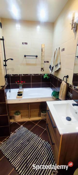 Mieszkanie 497m2 salon z aneksem 2 sypialnie Poznań