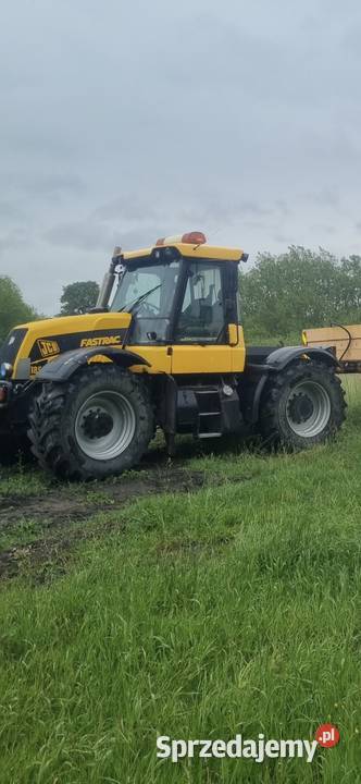 JCB Fastrac 3185 Kcynia
