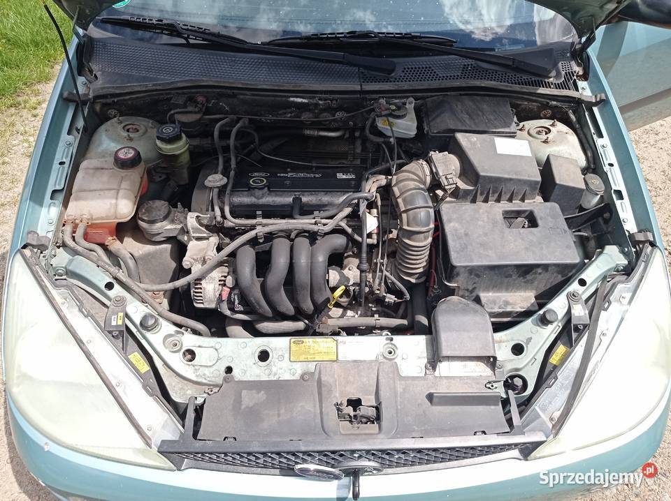 Ford Focus 16 16V Kombi 74 kW 1999 r dawca Szklarka Myślniewska sprzedam