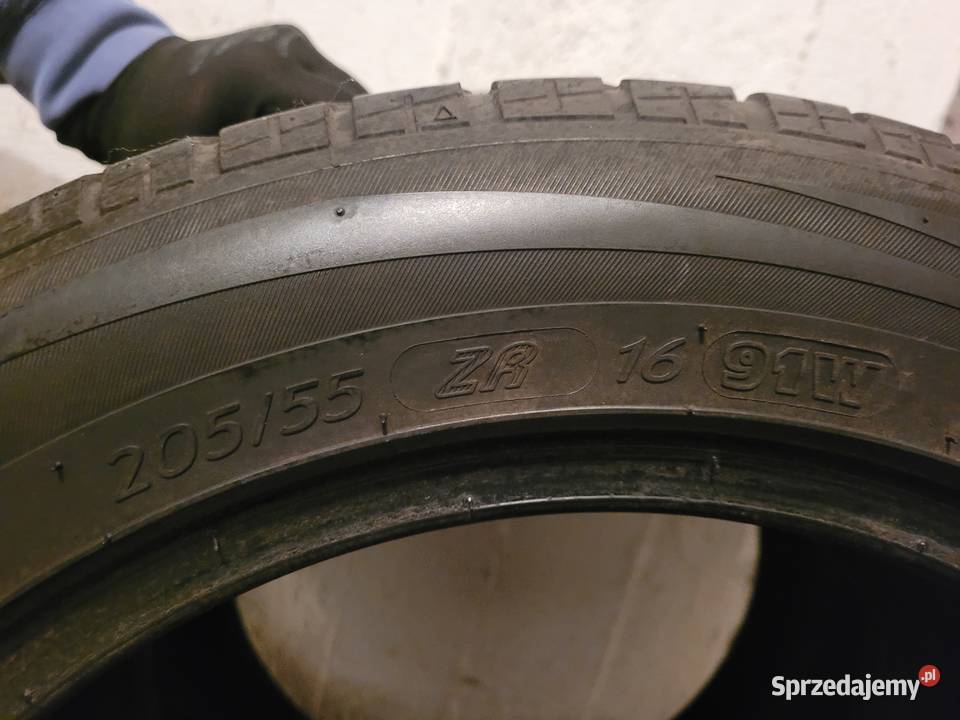 kormoran gamma 2 2055516 2 ładne Lublin