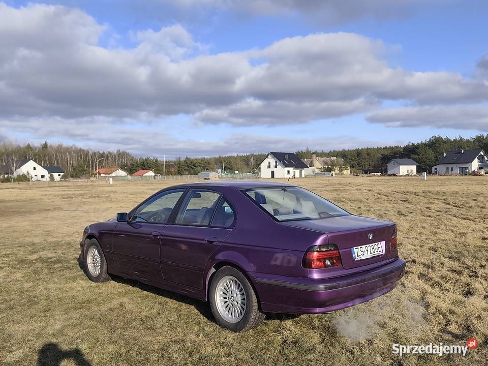 Bmw e39 1996r 25 Benzyna Klasyk zachodniopomorskie Goleniów sprzedam