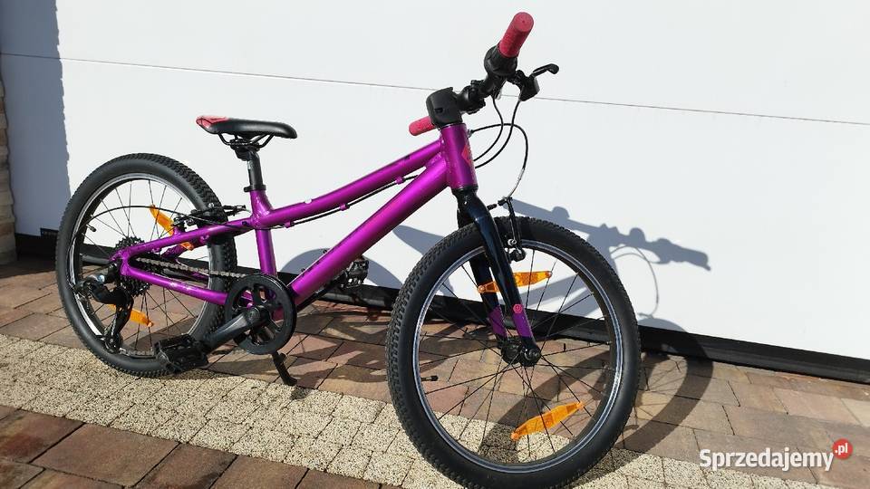 Rower dziecięcy Bergamont Bergamonster 20