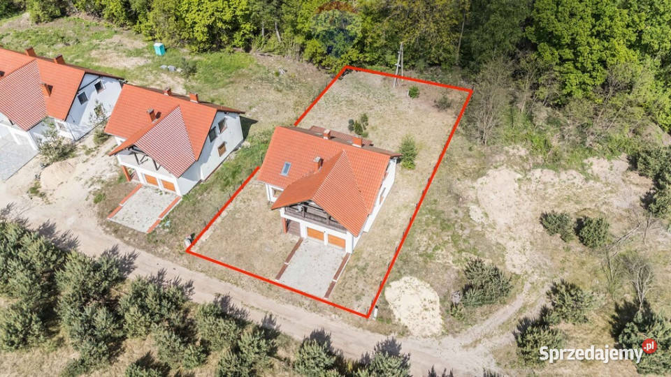 WOLNOSTOJĄCY LAS CISZA SĘKOWO natura 986m2 wielkopolskie Sękowo