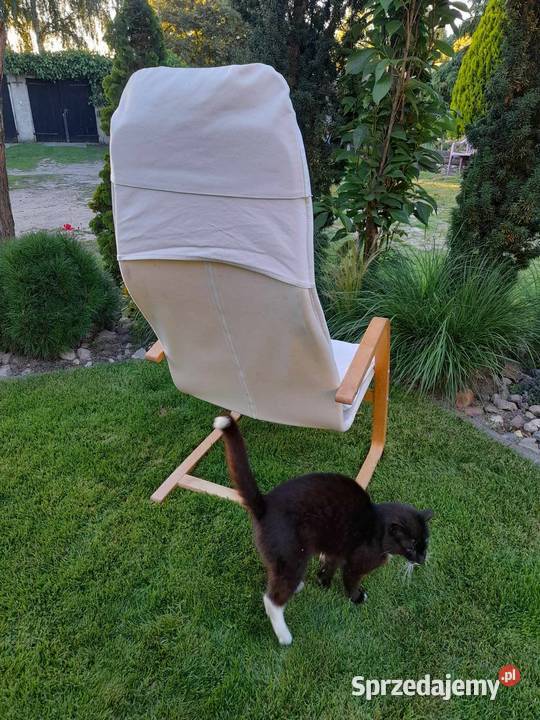 Sprzedam fotel