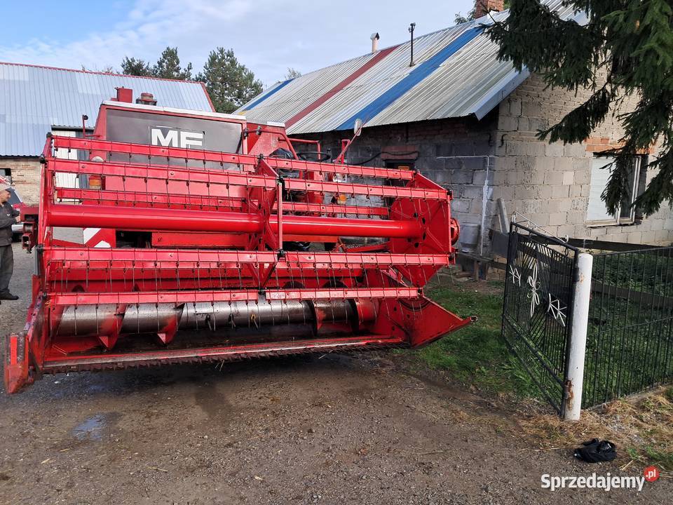 Sprzedam kombajn Massey ferguson 440 Zbożowe sprzedam