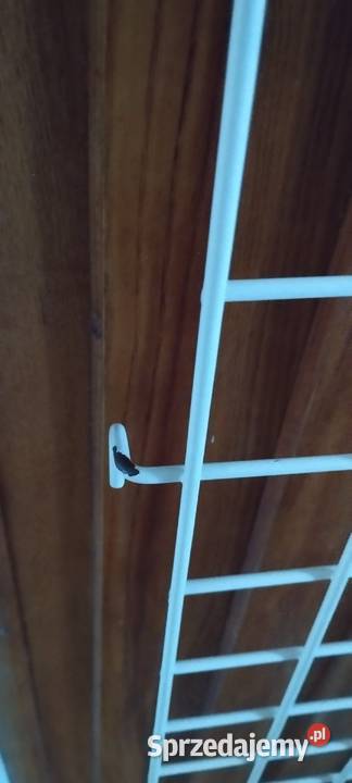 Krata ekspozycyjna 15056 Lublin