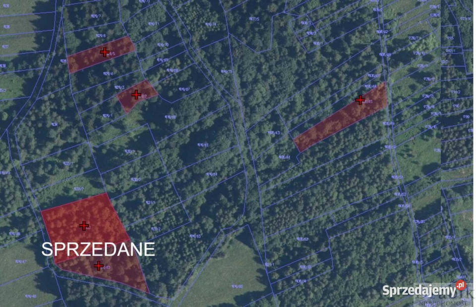 Działka 24313m2 Budzów Budzów leśna Sprzedaż