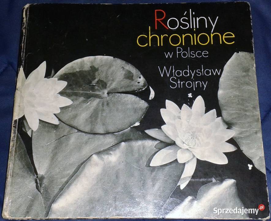 Rośliny chronione w Polsce Władysław Strojny Chełm sprzedam