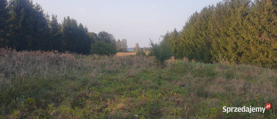 Mazury jeziorem warunki zabudowy Kruklin